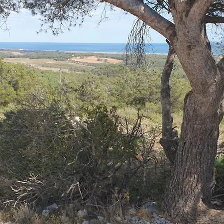 Proche Des Appartement